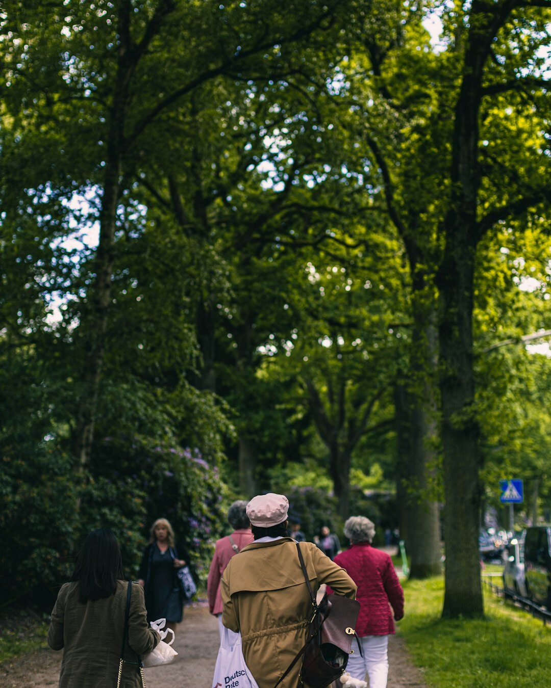 seniors walking in park